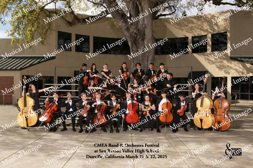 Musical Images